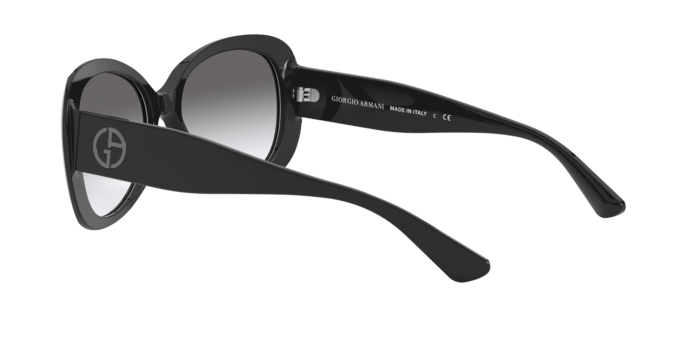 Giorgio Armani AR8132 500111  